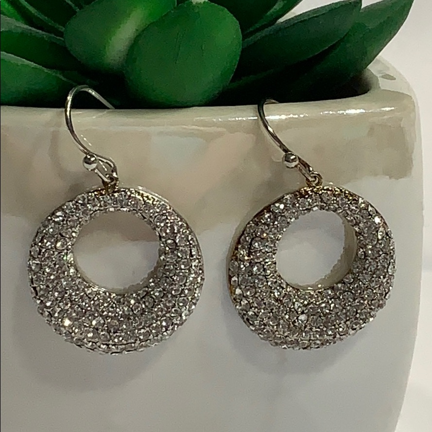 Czanne Sparkling Circles Cz Hook Earrings 20$